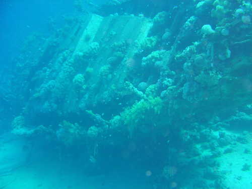 Wrack