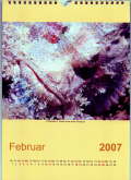 Februar 2007