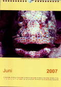 Juni 2007